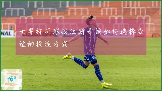 世界杯买球投注新手该如何选择合适的投注方式
