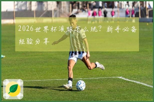 2026世界杯滚球怎么玩？新手必备经验分享