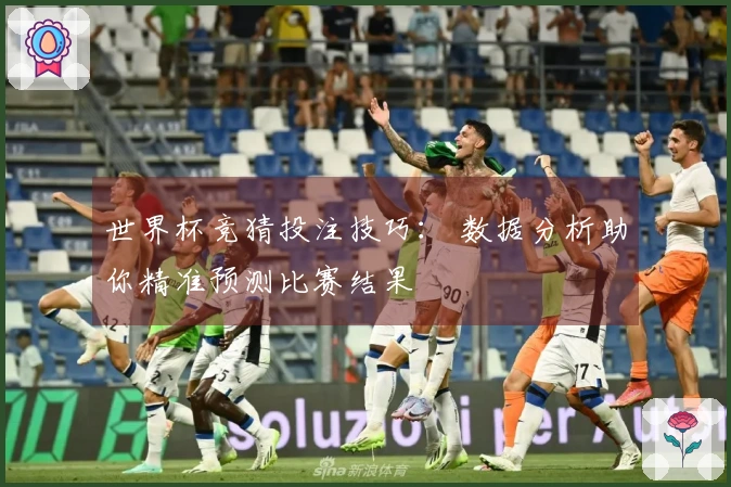 世界杯竞猜投注技巧： 数据分析助你精准预测比赛结果