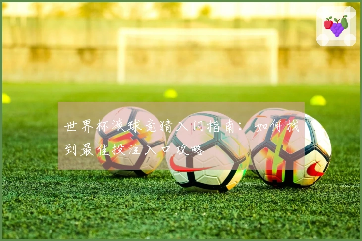 世界杯滚球竞猜入门指南：如何找到最佳投注入口攻略