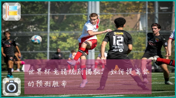 世界杯竞猜规则揭秘：如何提高你的预测胜率
