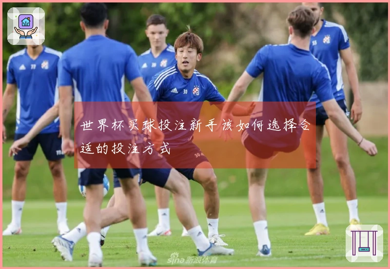 世界杯买球投注新手该如何选择合适的投注方式