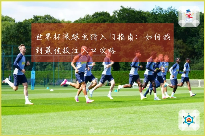 世界杯滚球竞猜入门指南：如何找到最佳投注入口攻略