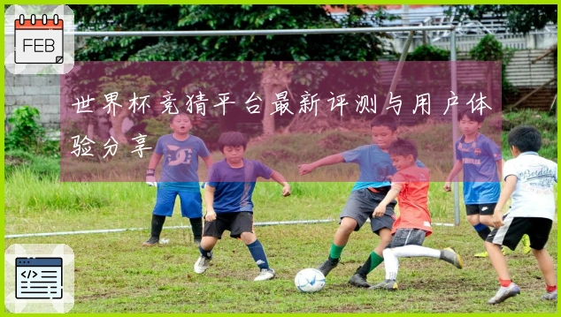 世界杯竞猜平台最新评测与用户体验分享