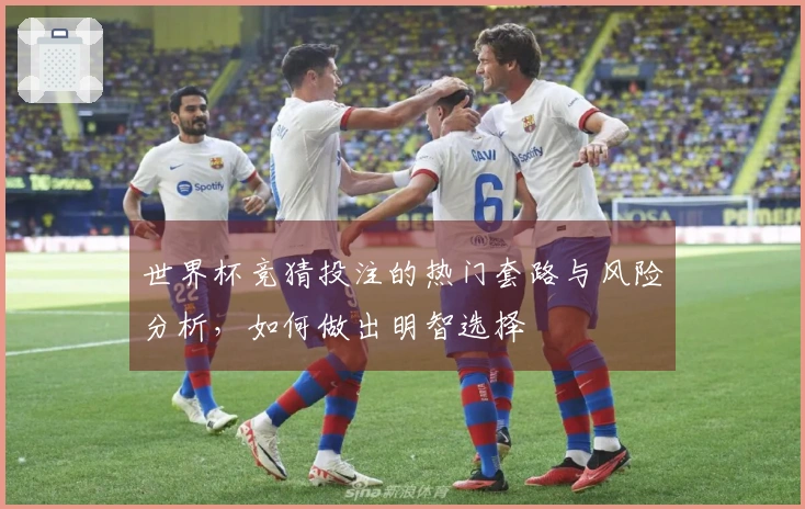 世界杯竞猜投注的热门套路与风险分析，如何做出明智选择
