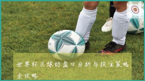 世界杯买球的盘口分析与投注策略全攻略