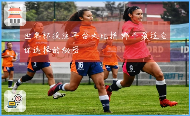 世界杯投注平台大比拼 哪个最适合你选择的秘密