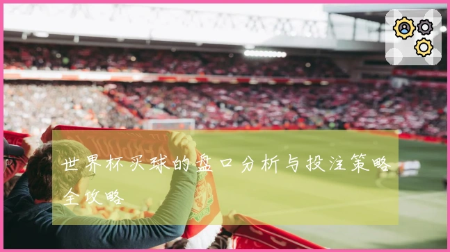 世界杯买球的盘口分析与投注策略全攻略