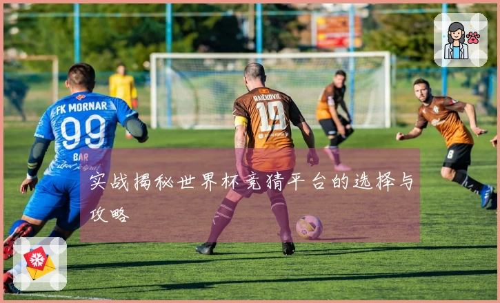 实战揭秘世界杯竞猜平台的选择与攻略