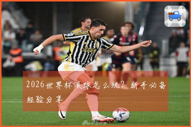 2026世界杯滚球怎么玩？新手必备经验分享
