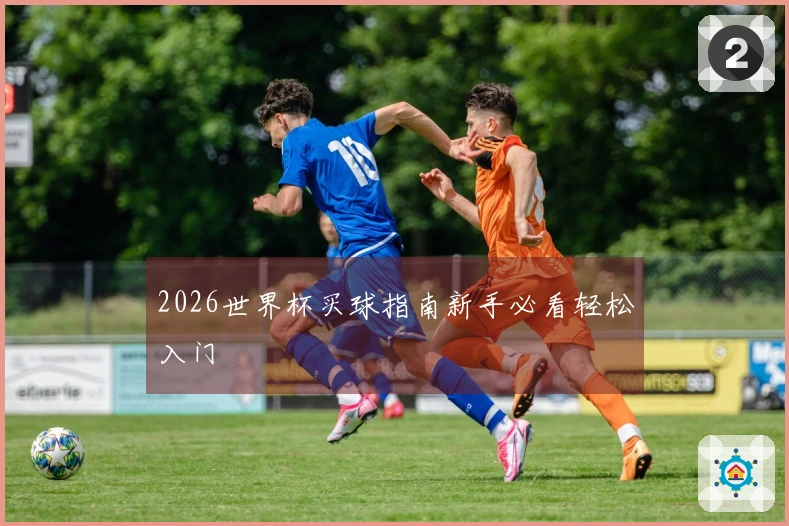 2026世界杯买球指南新手必看轻松入门